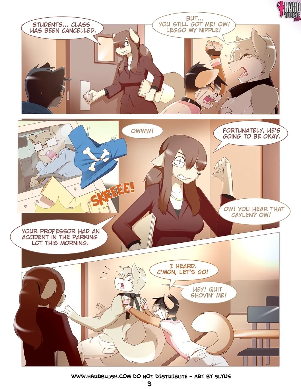 Page 3