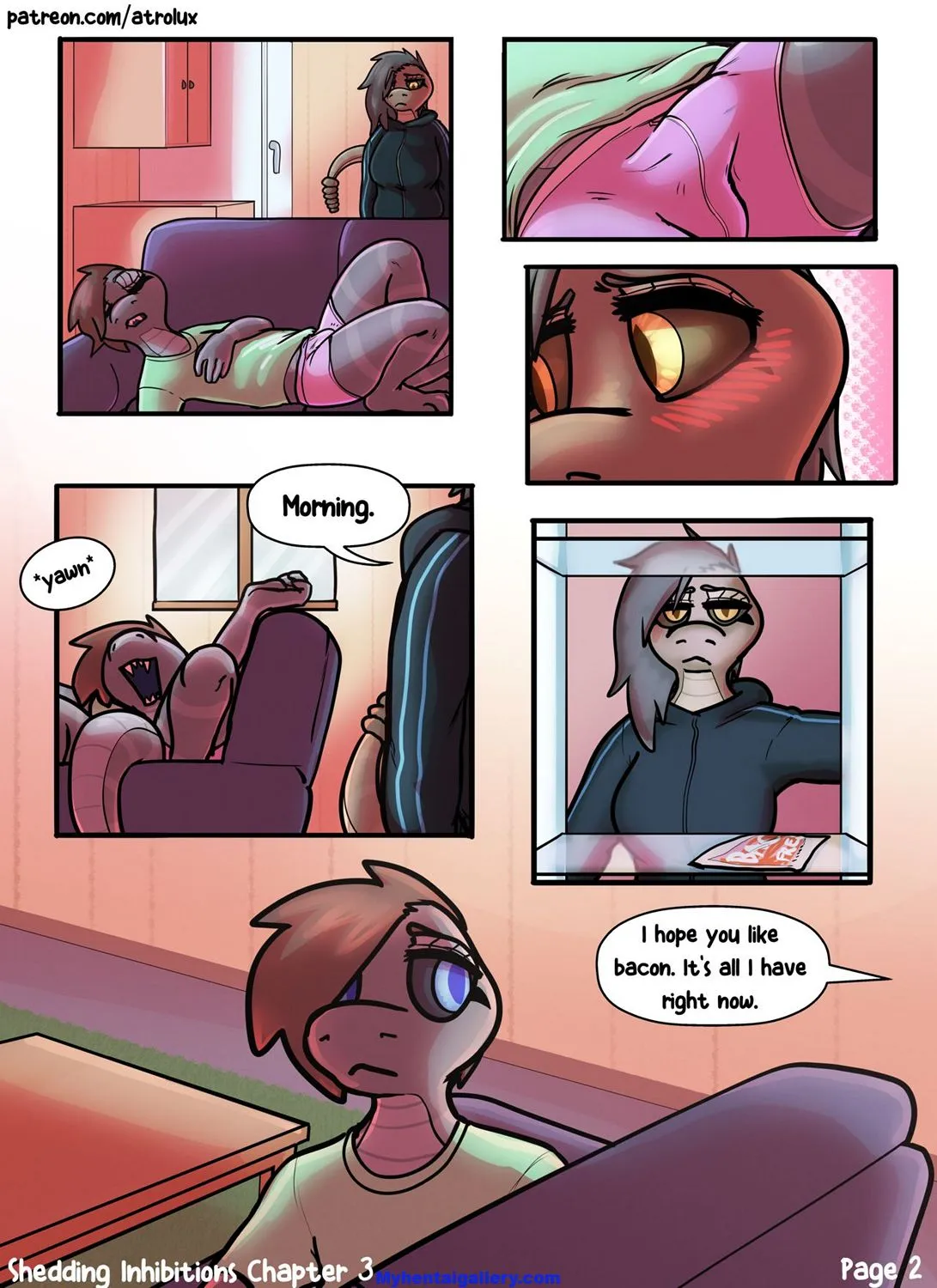 Page 3