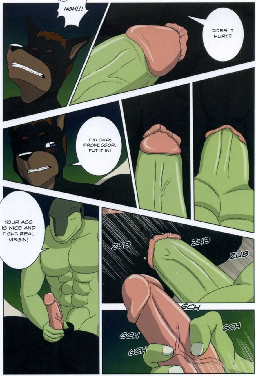 Page 37