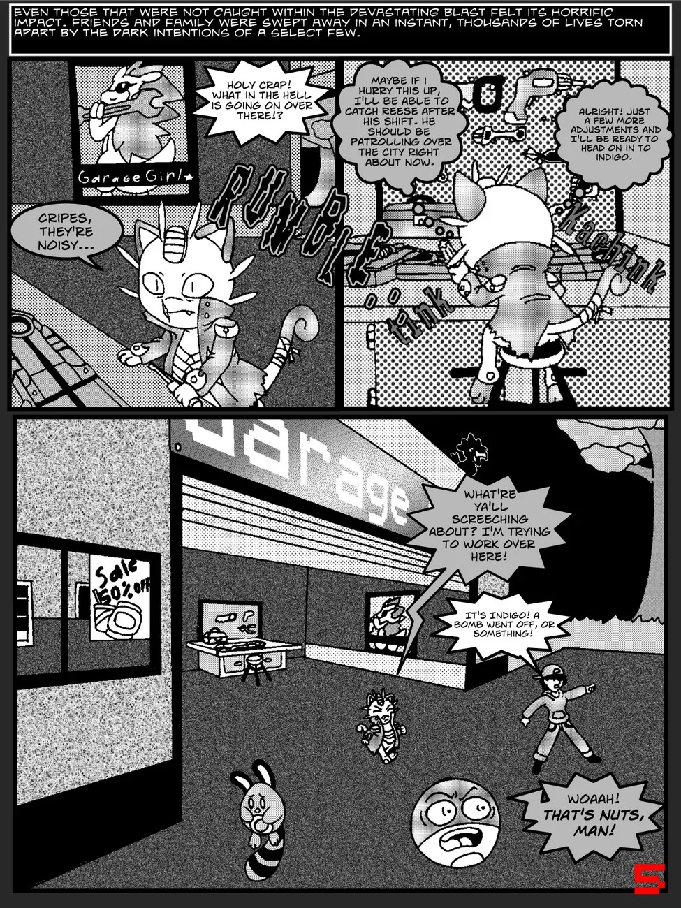 Page 5