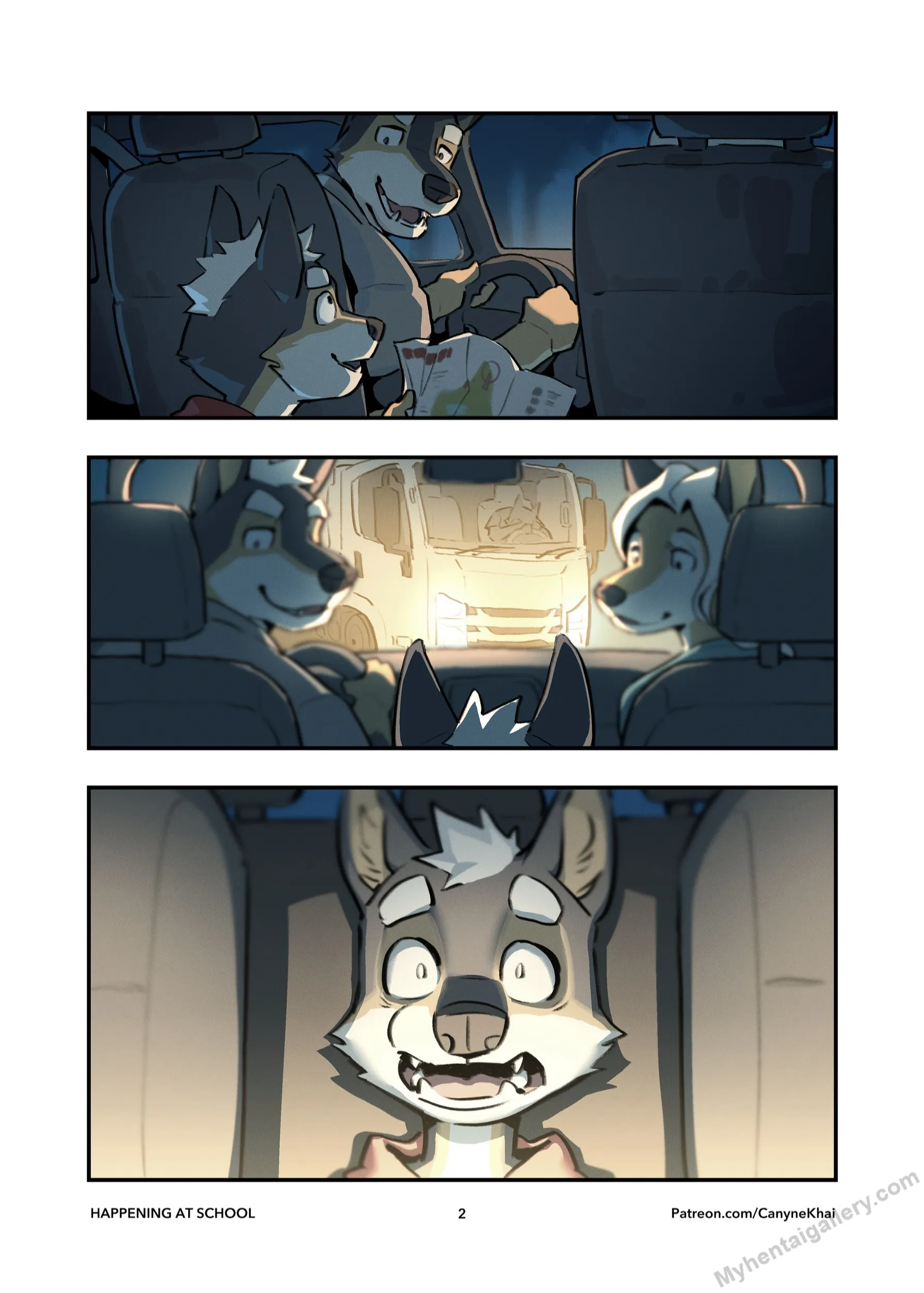 Page 3