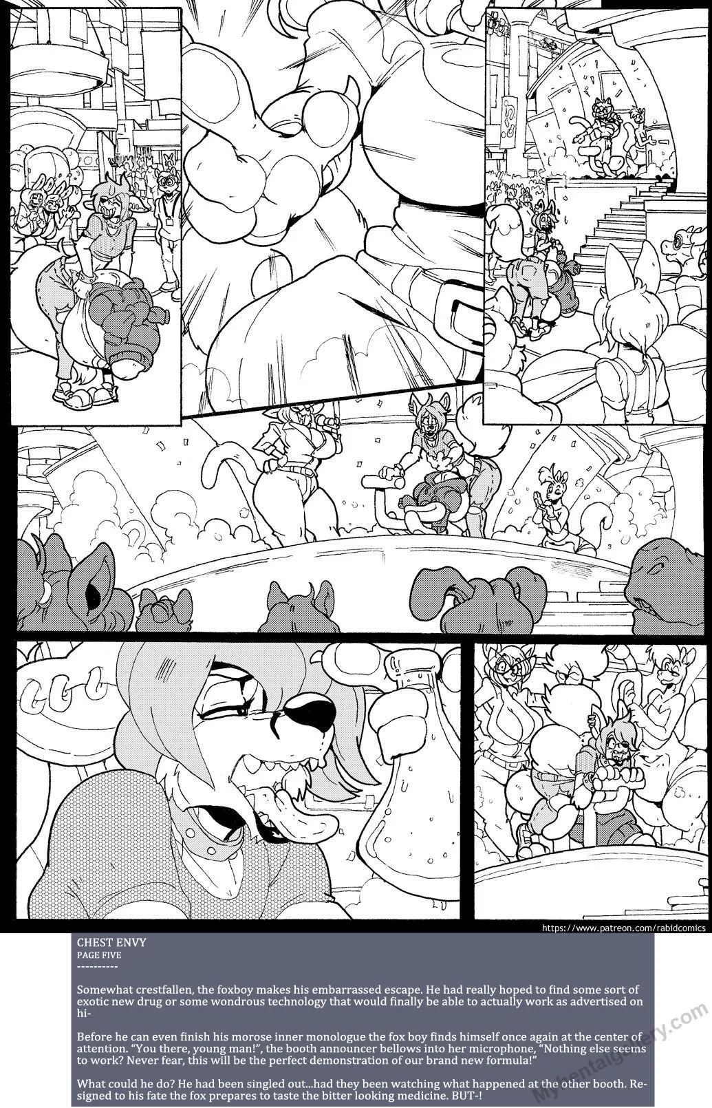 Page 5