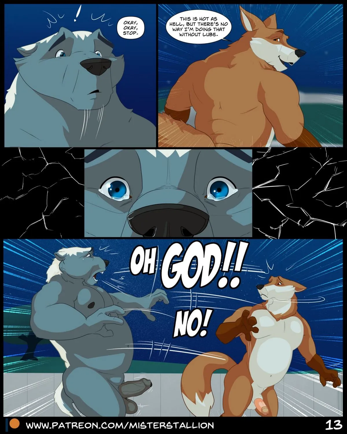 Page 13