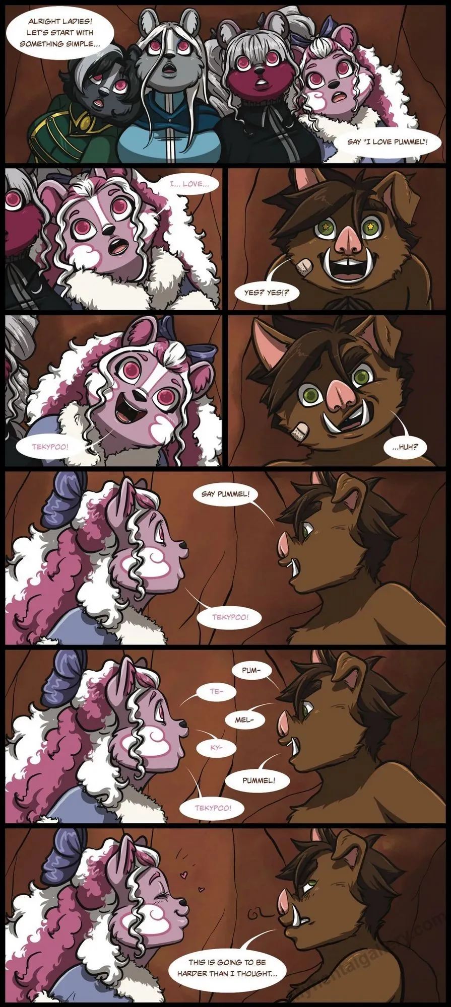 Page 5
