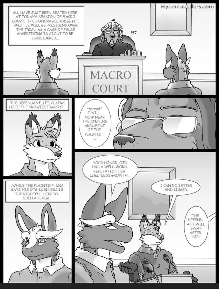 Macro Court porno comics Cover