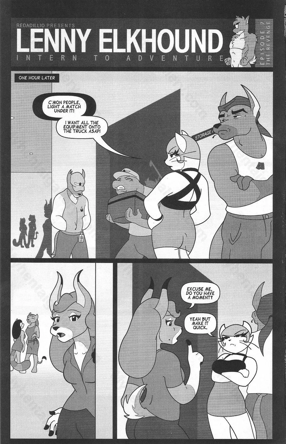 Page 3