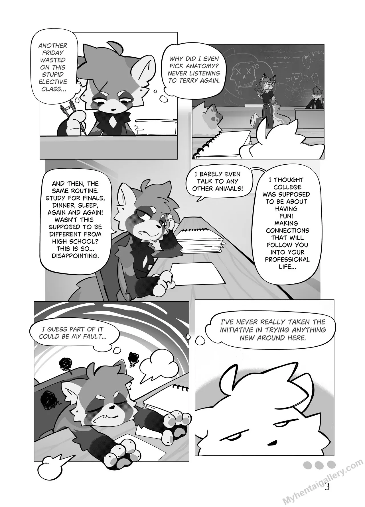 Page 3