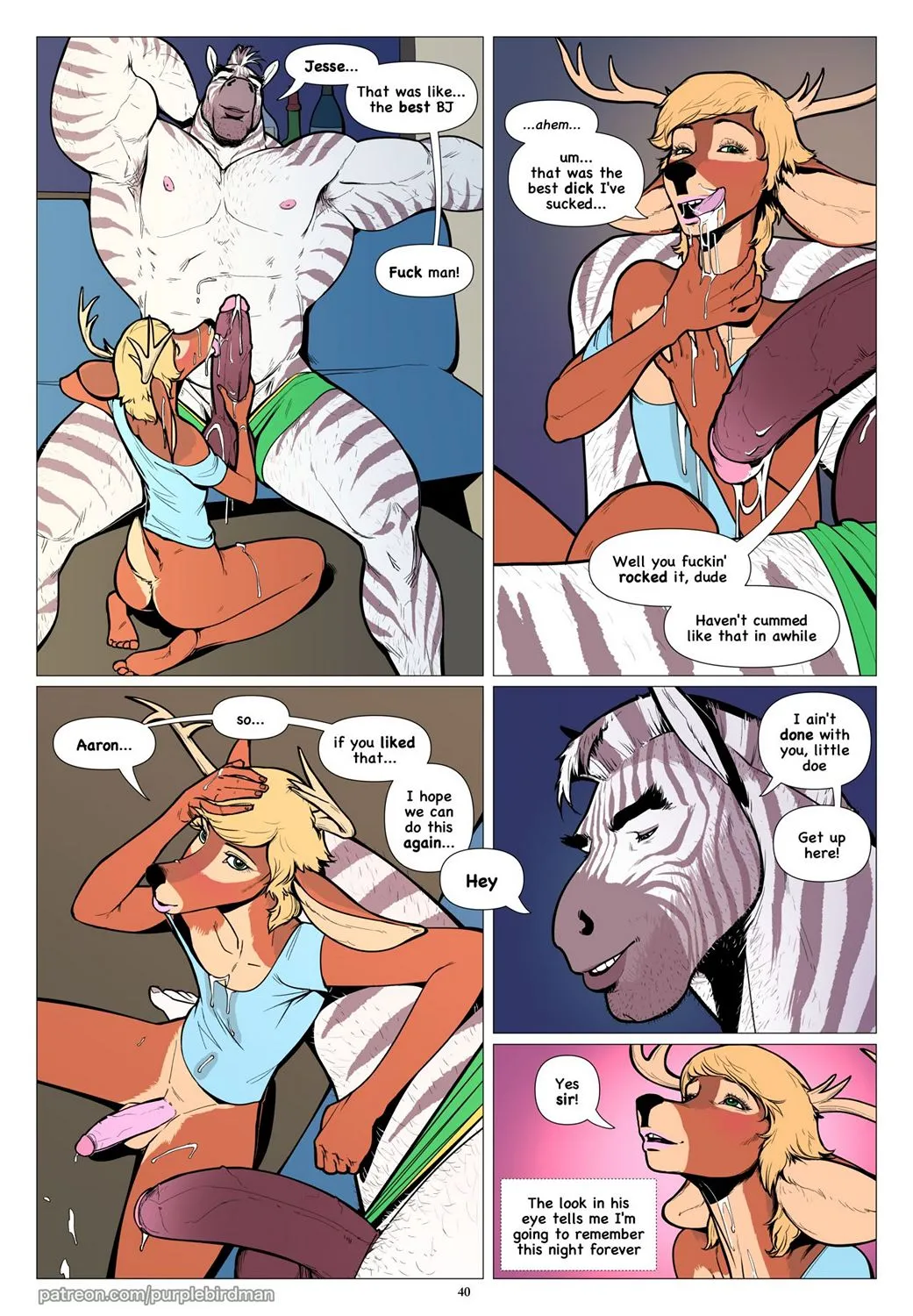 Page 41