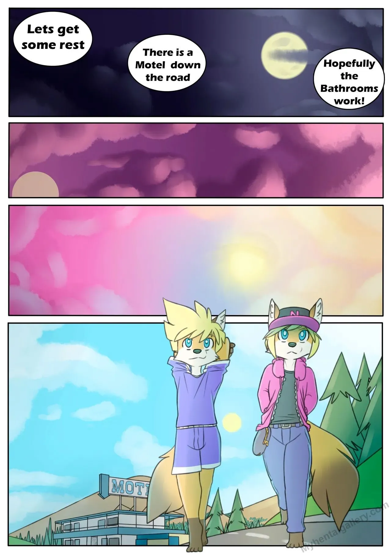 Page 5