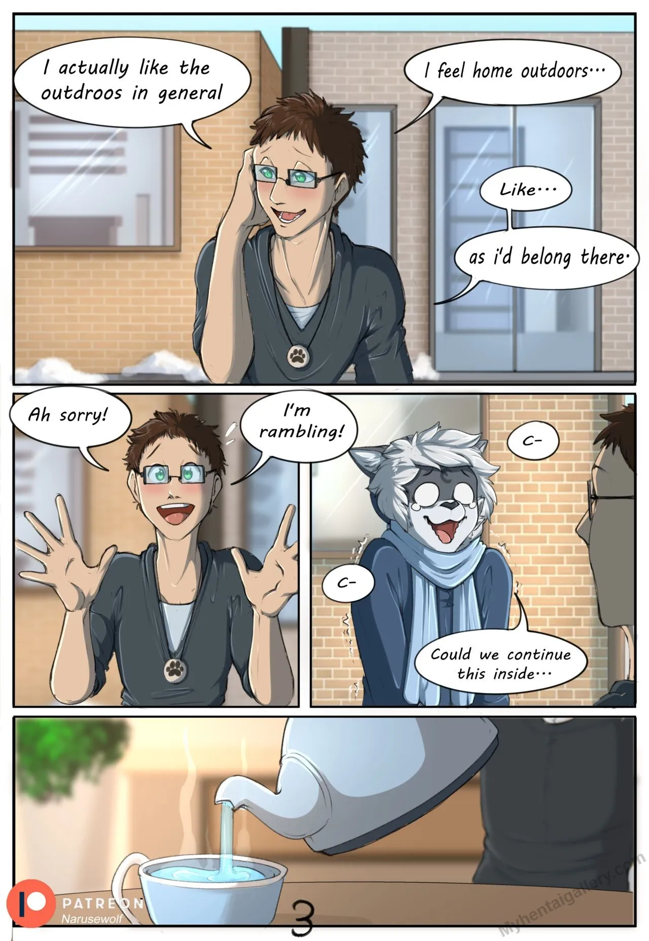 Page 3