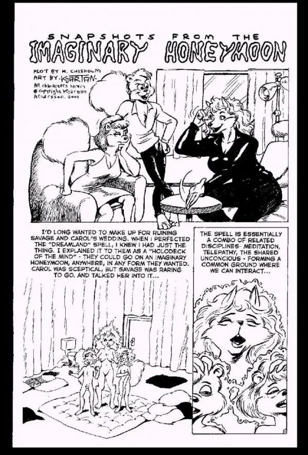 Snapshots From The Imaginary Honeymoon porno comics Cover