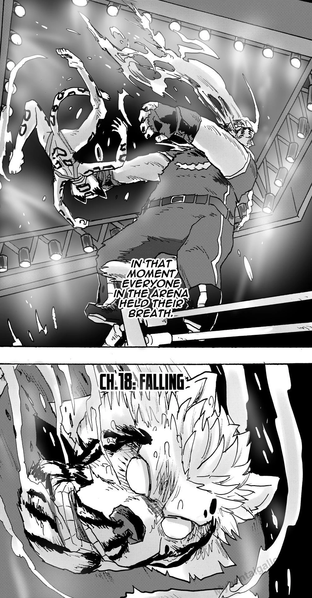 Furry Fight Chronicles 18 - Falling porno comics