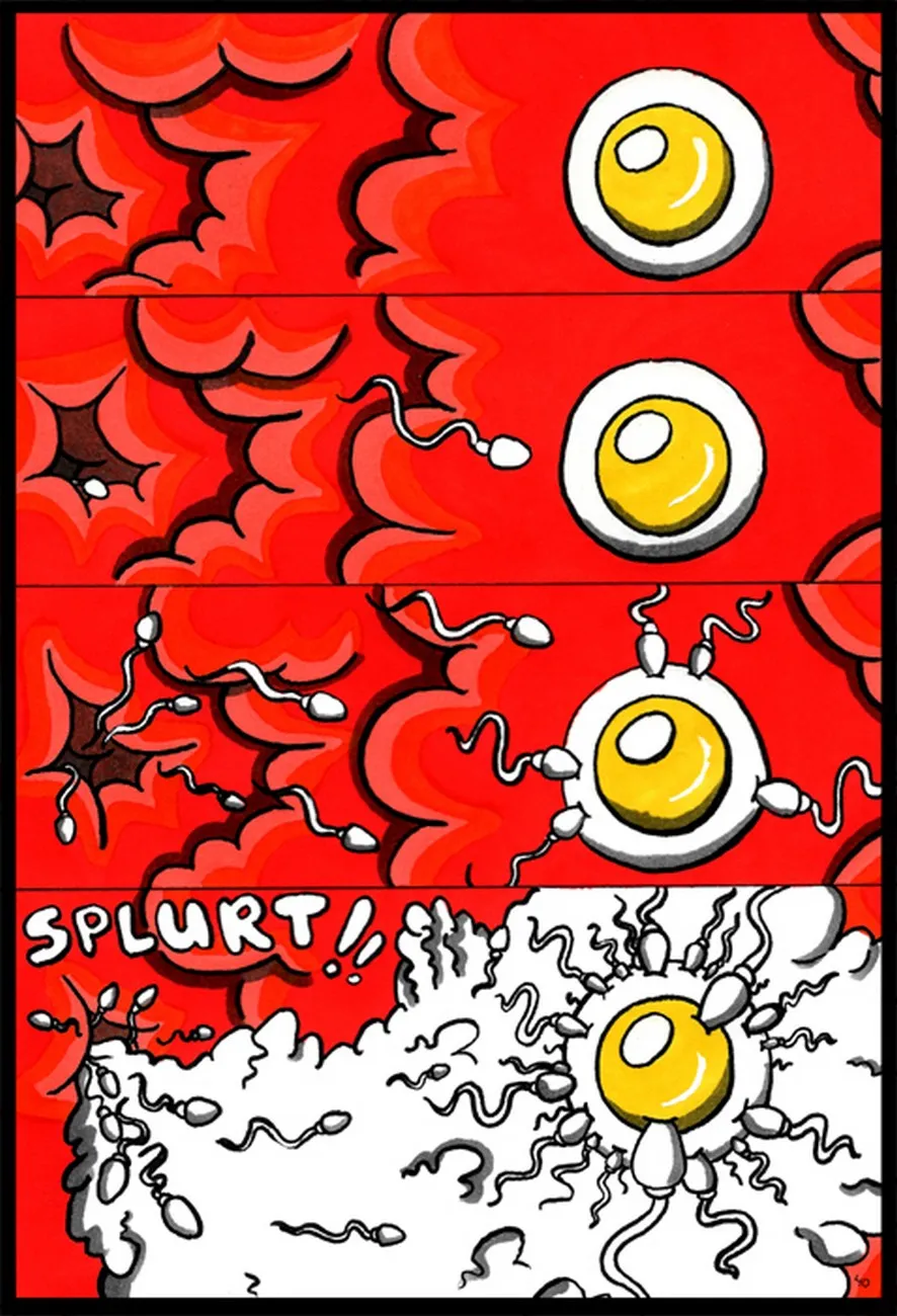 Page 41