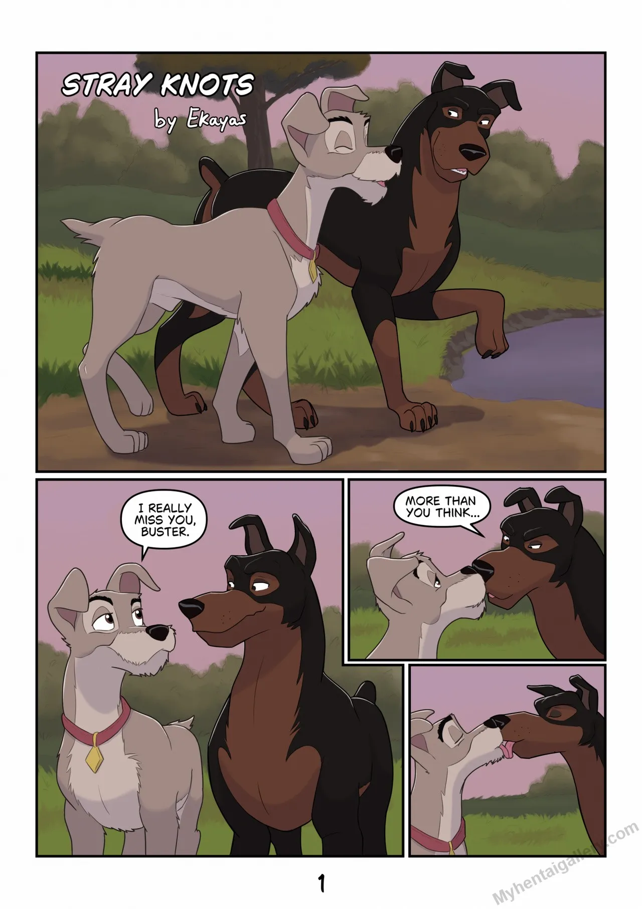 Stray Knots porno comics Cover