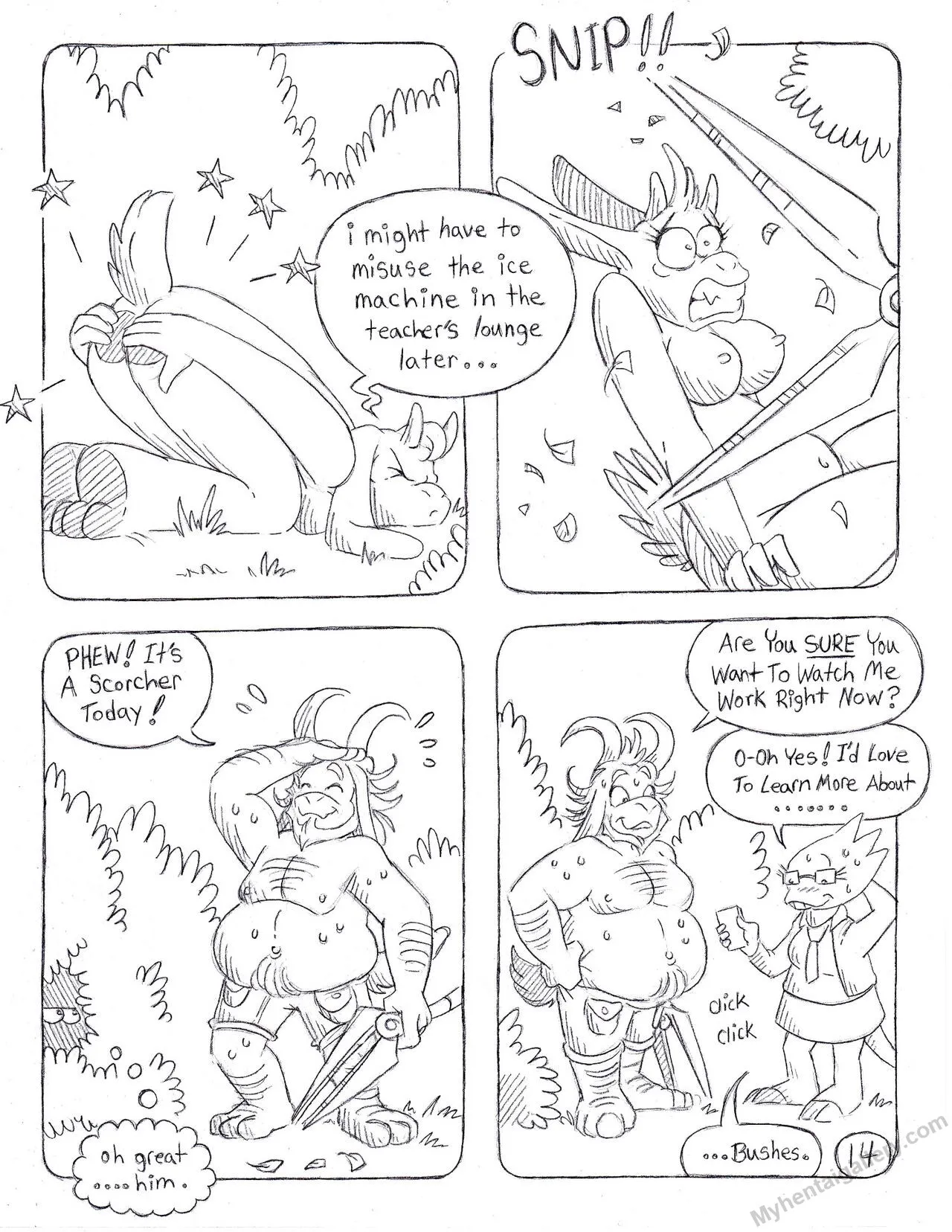 Page 14