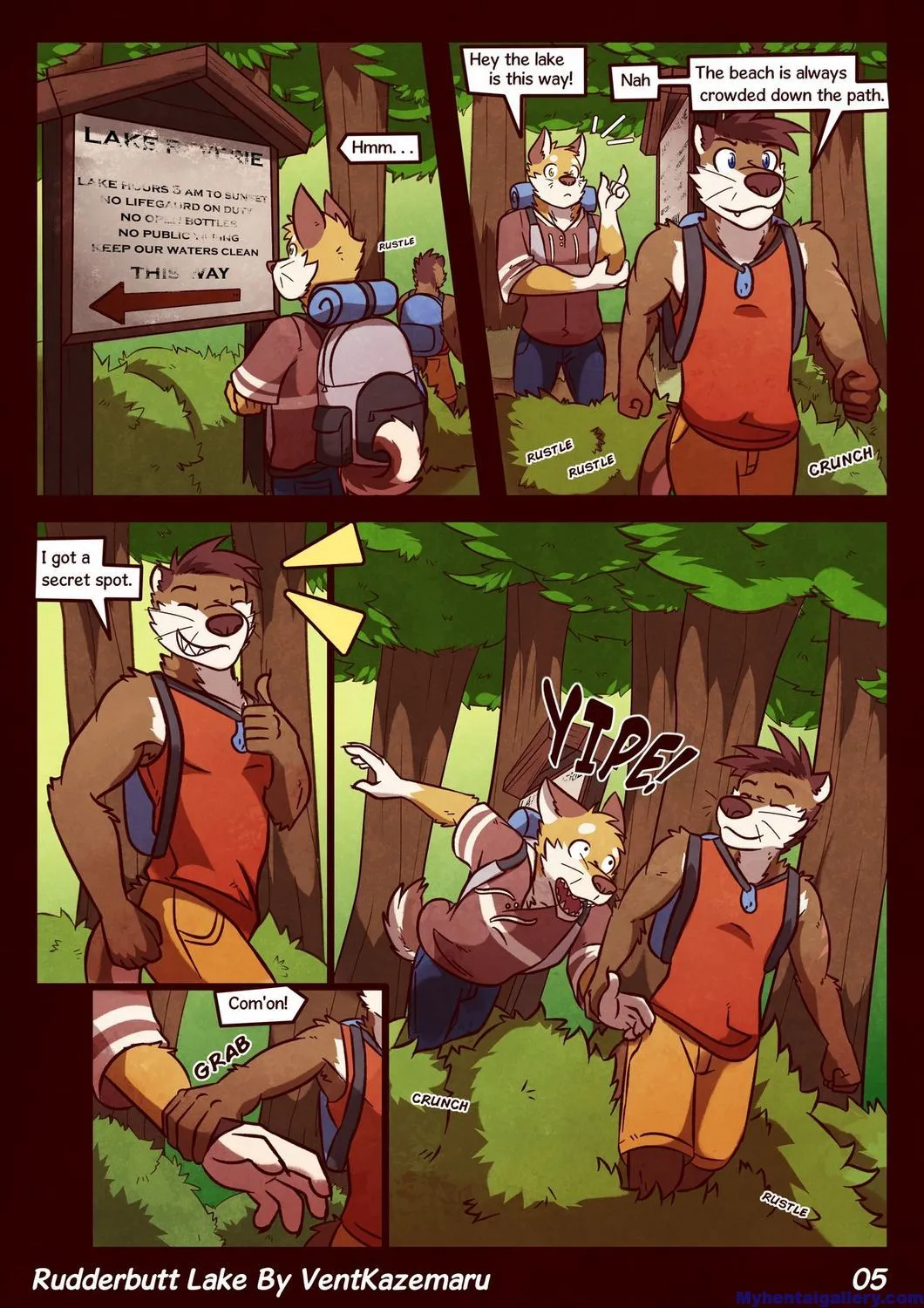 Page 5
