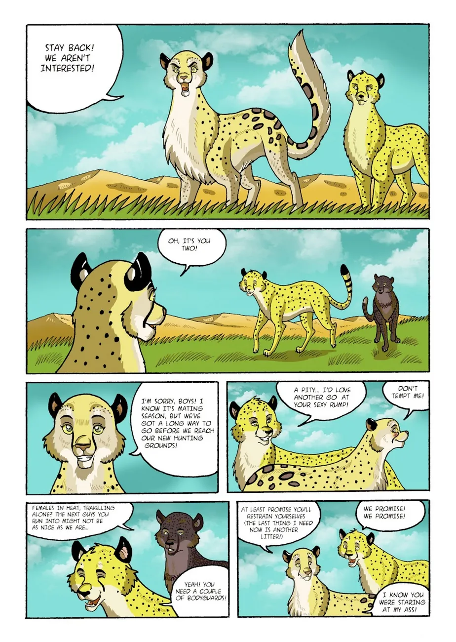 Page 3