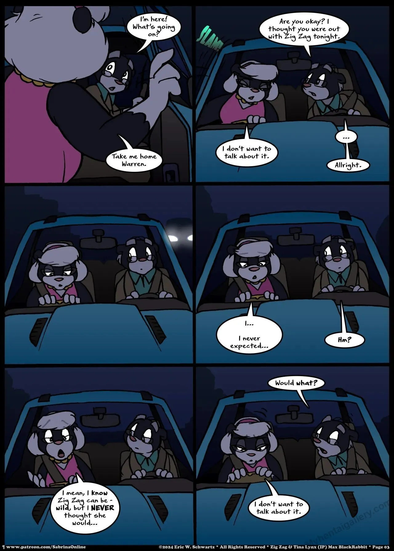 Page 3