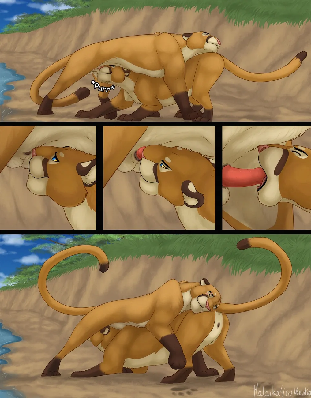 Page 66