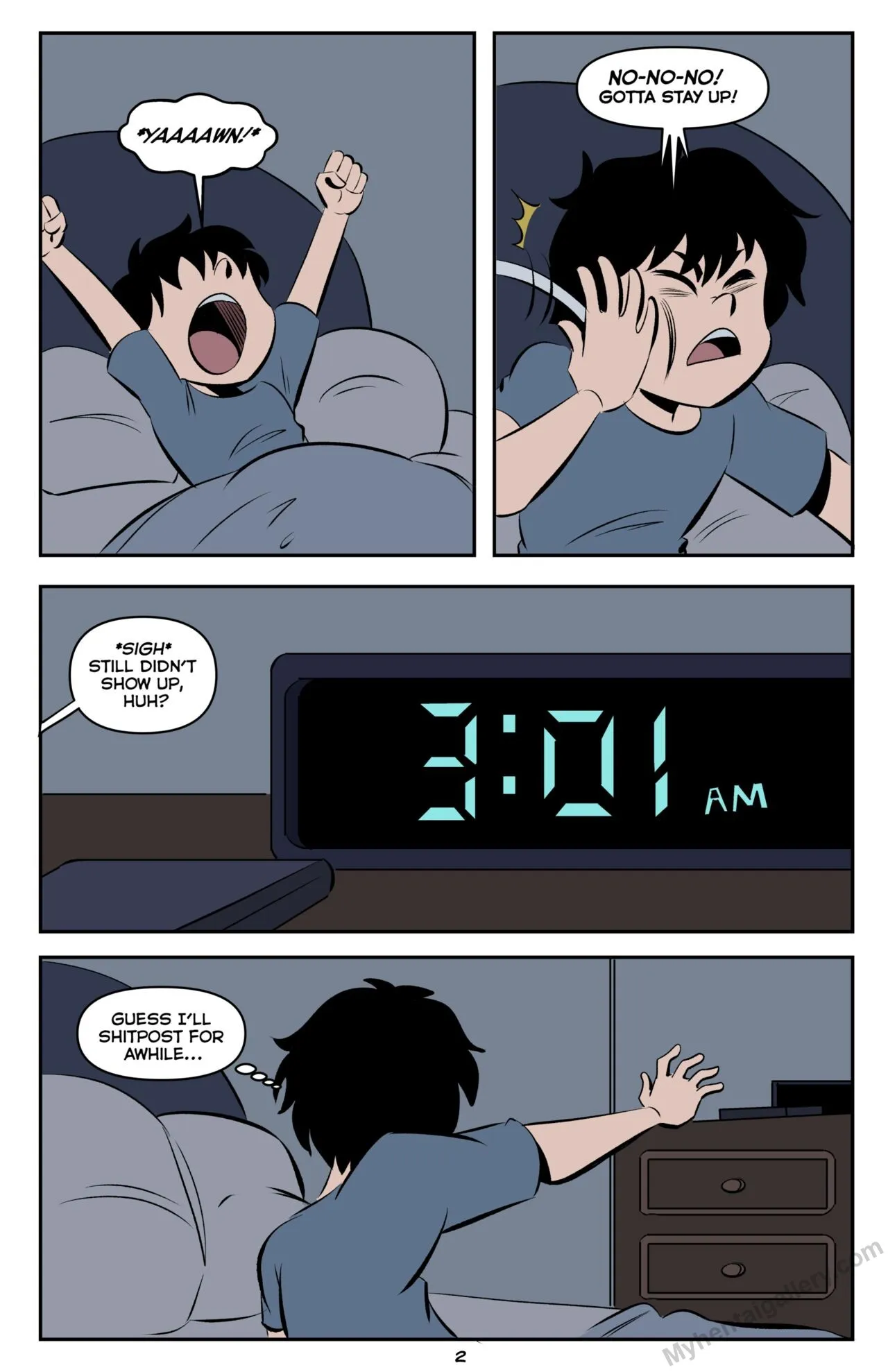 Page 3