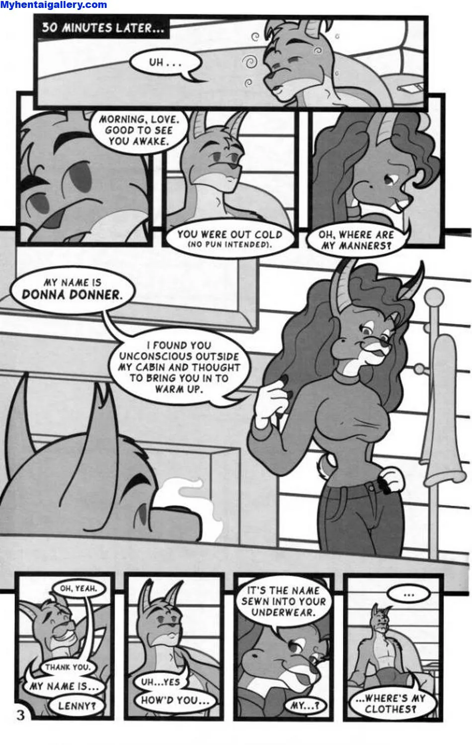 Page 3