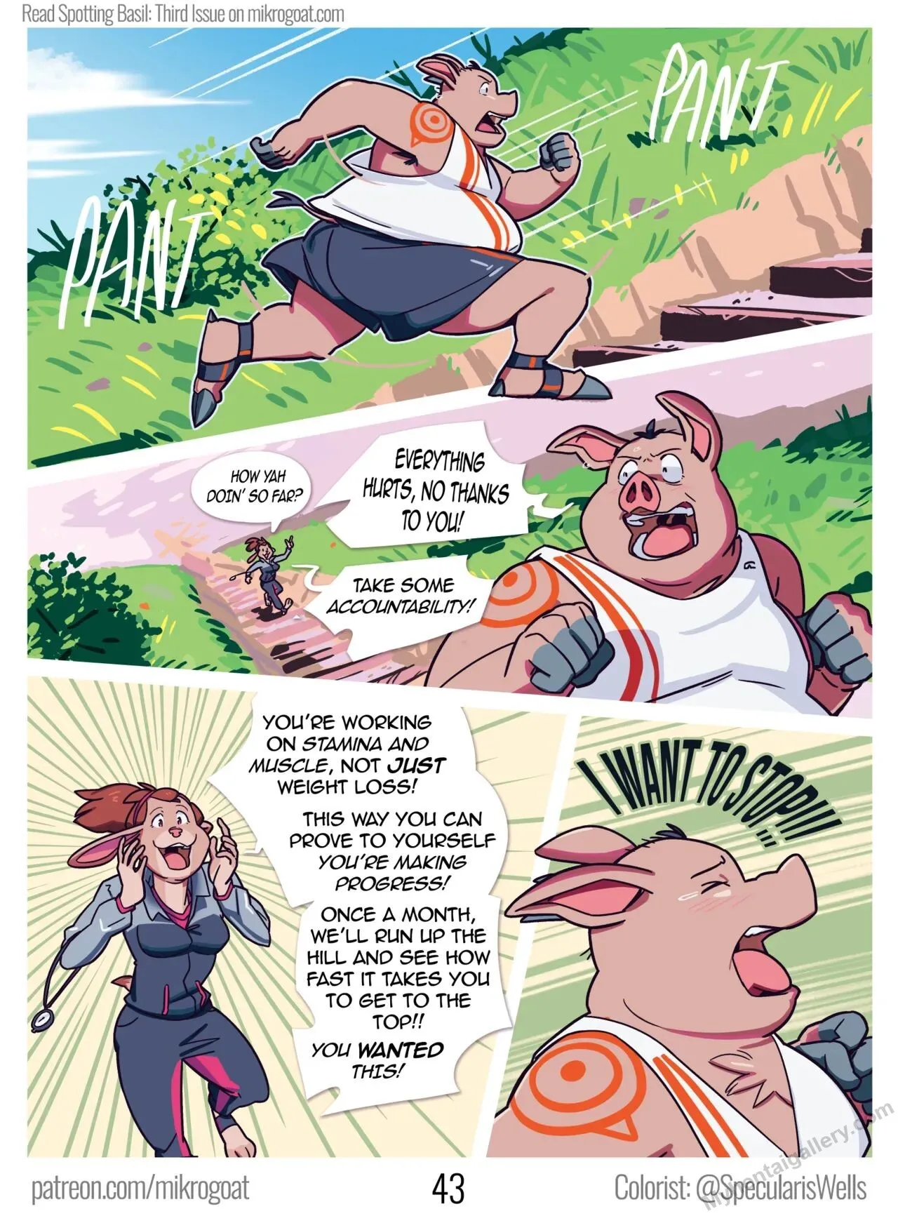 Page 43
