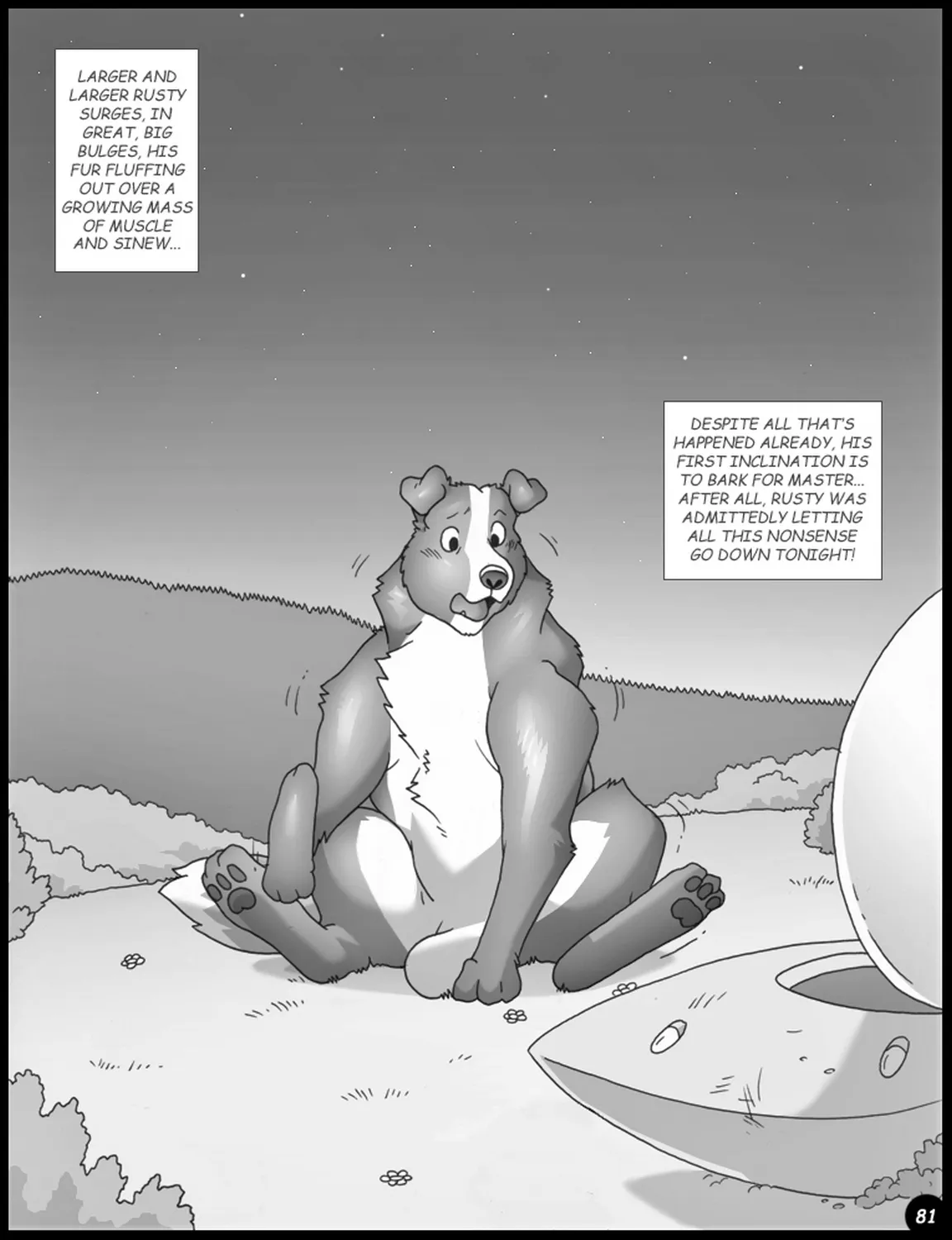 Page 81
