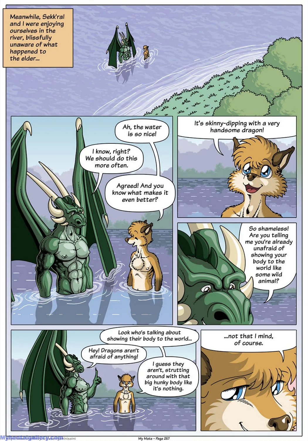 Page 62