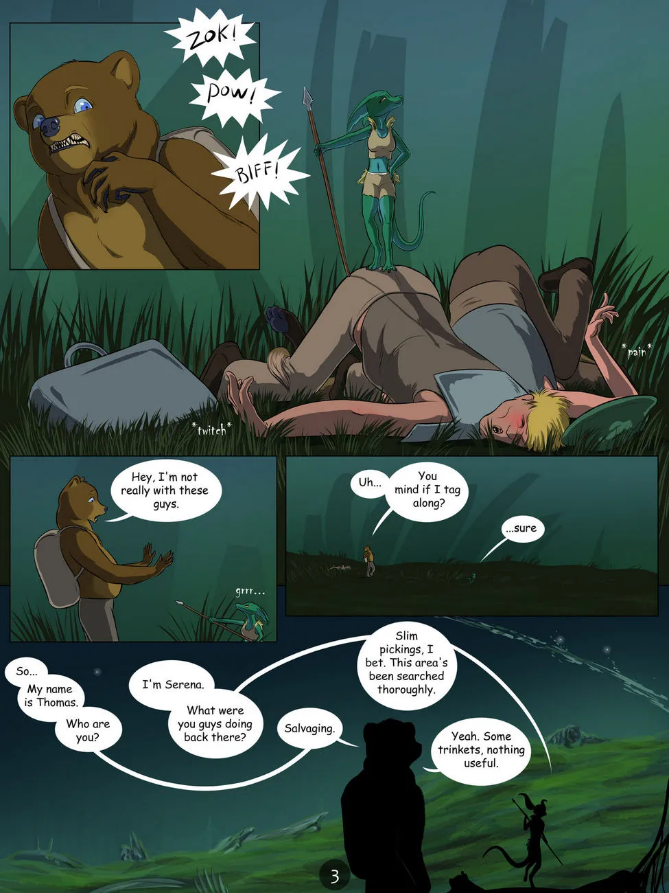 Page 3