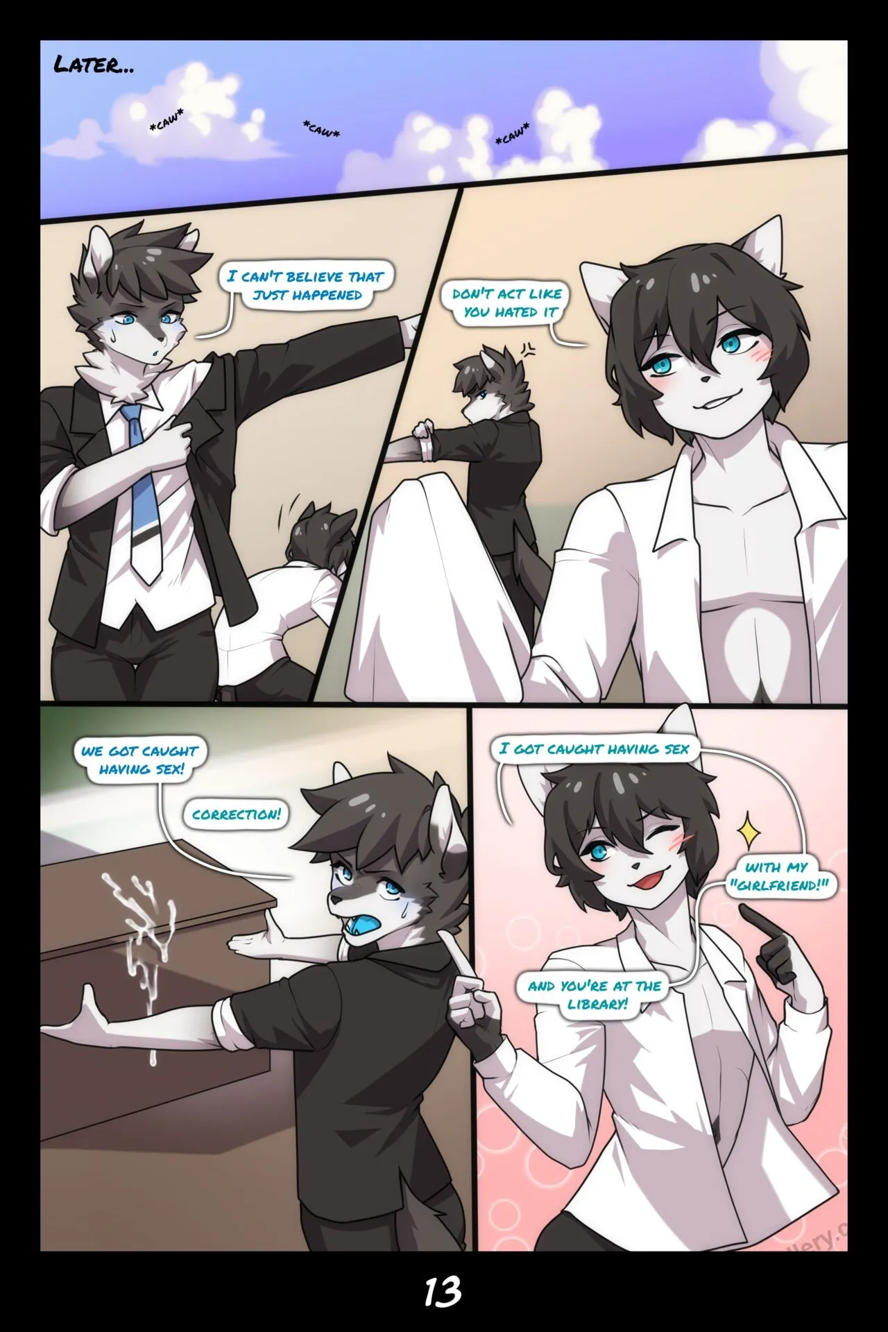 Page 14
