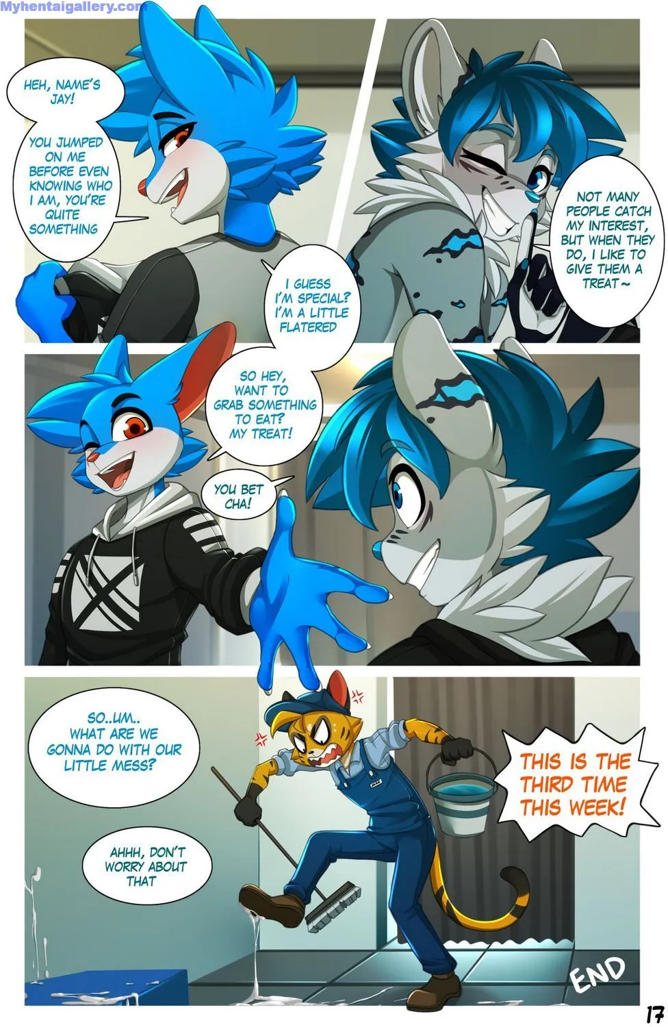 Page 17
