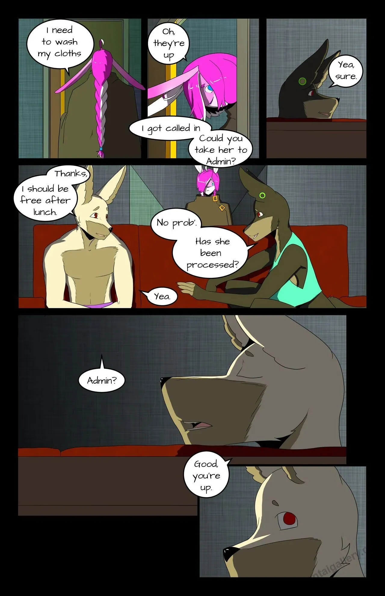 Page 5