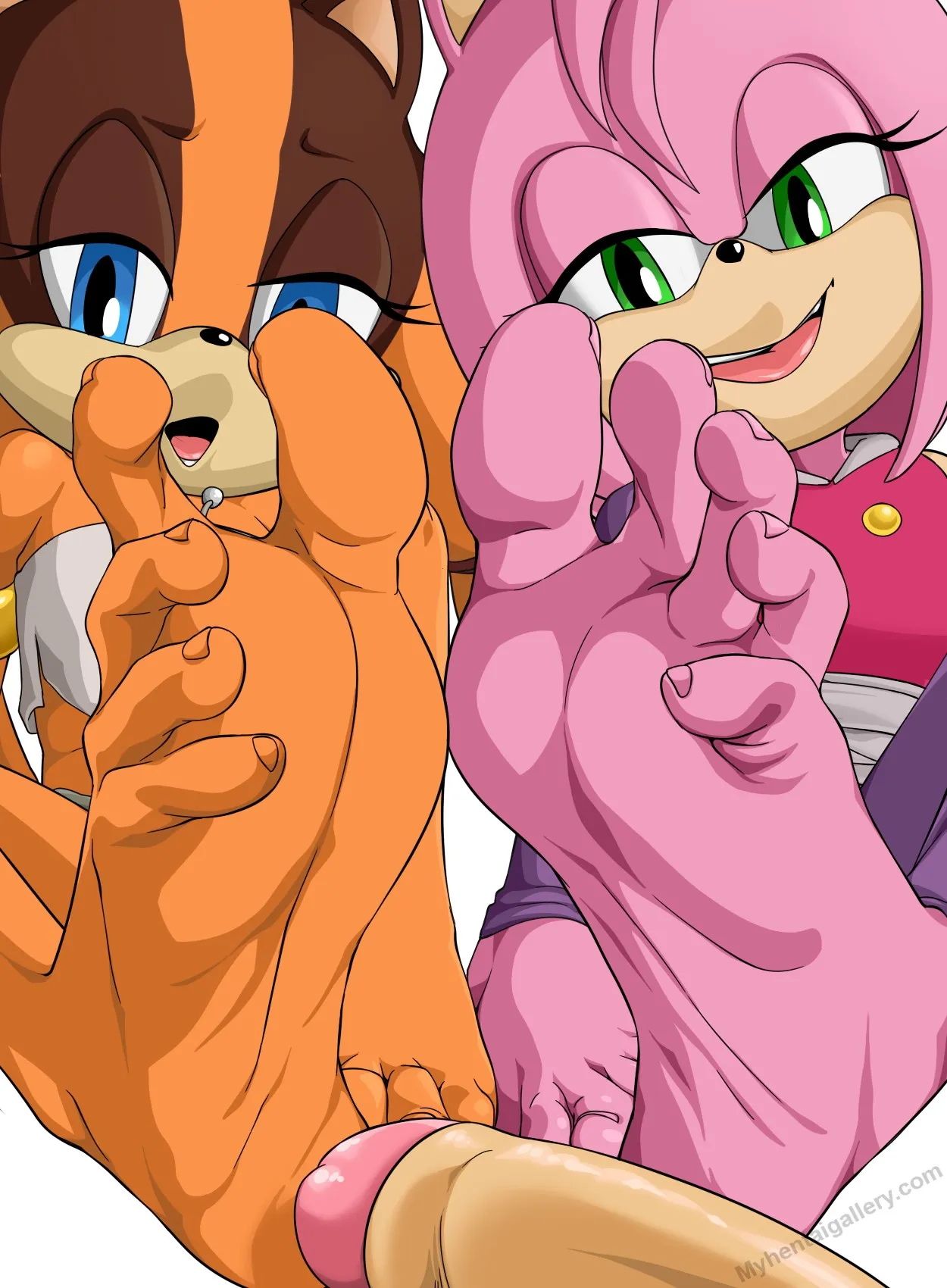 Amy Rose & Sticks porno comics