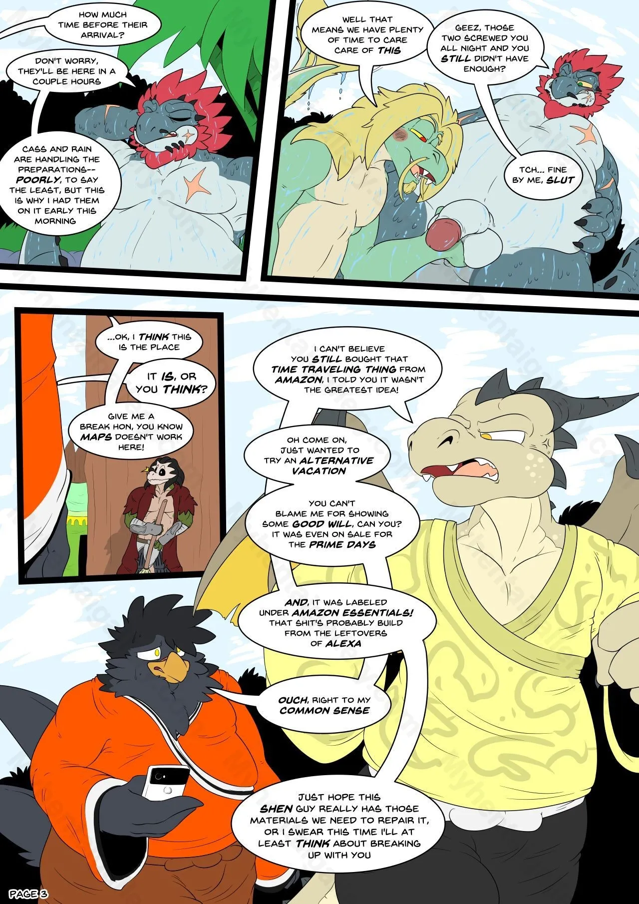 Page 3