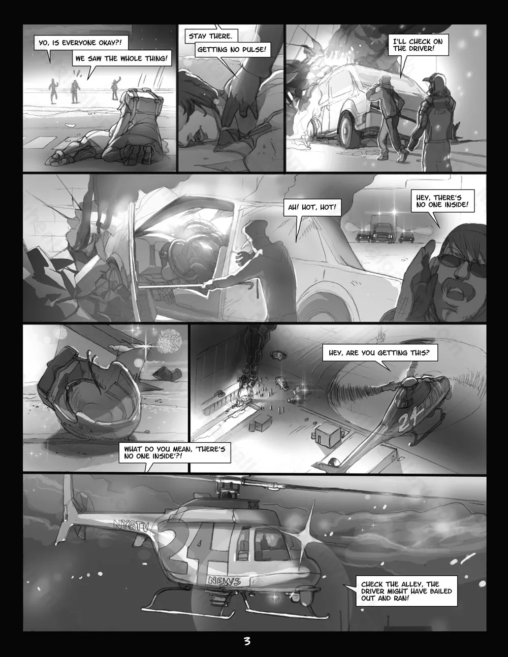 Page 3