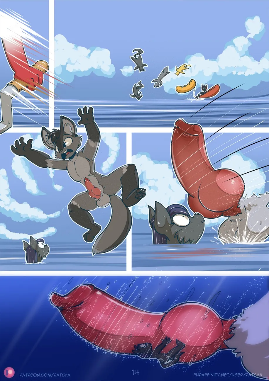 Page 14
