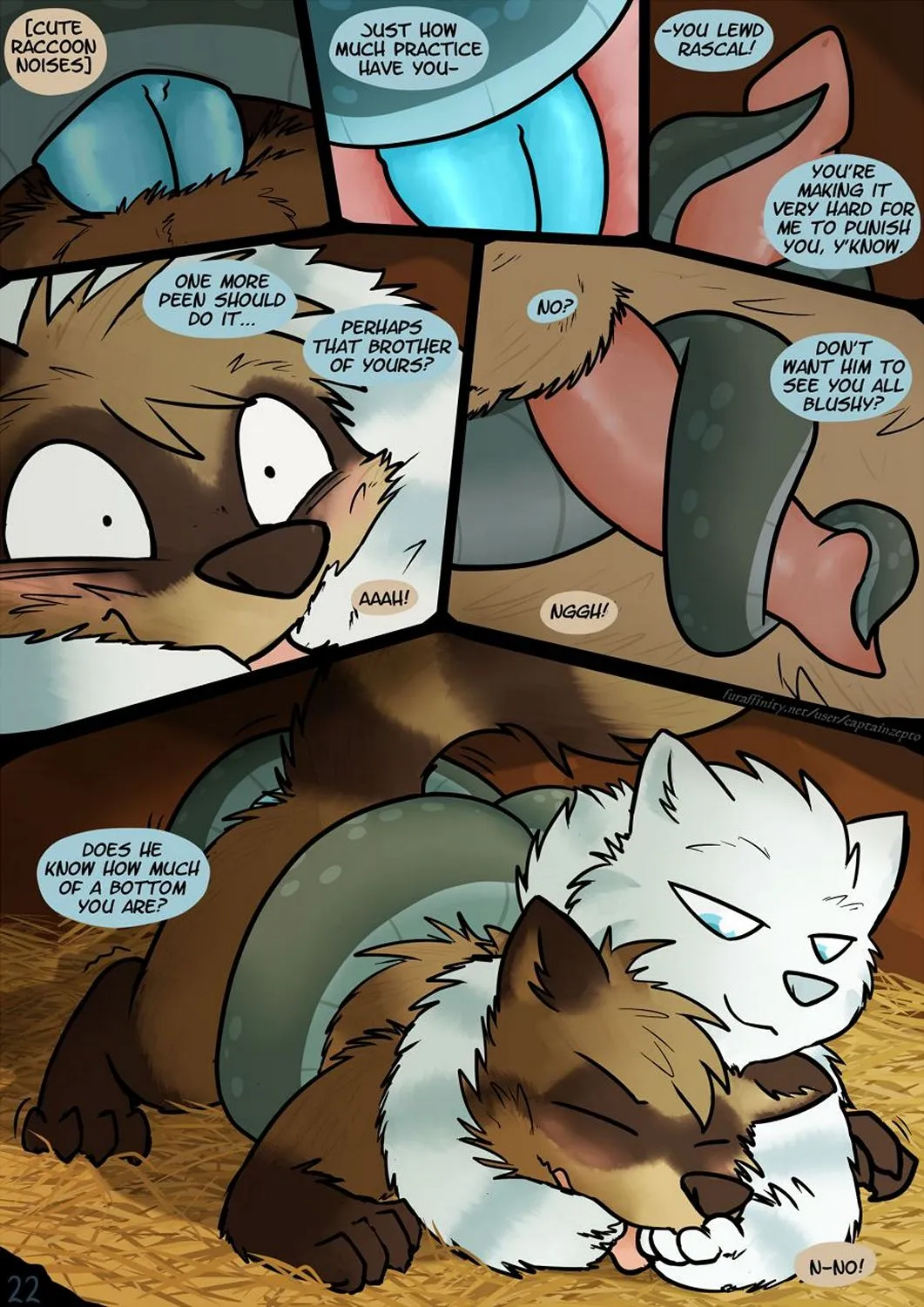 Page 22