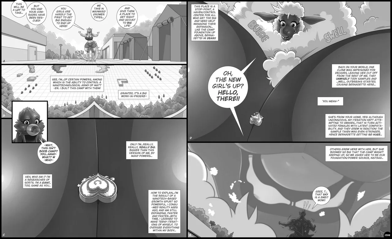 Page 64