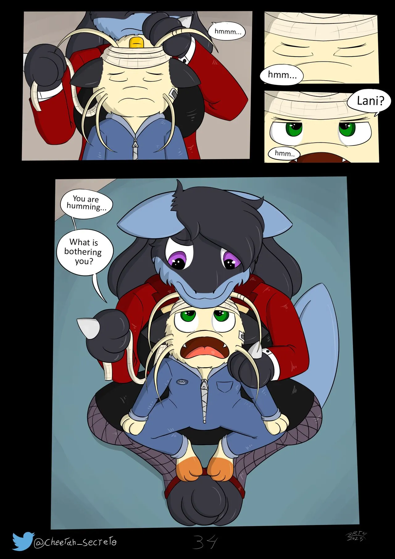 Page 35