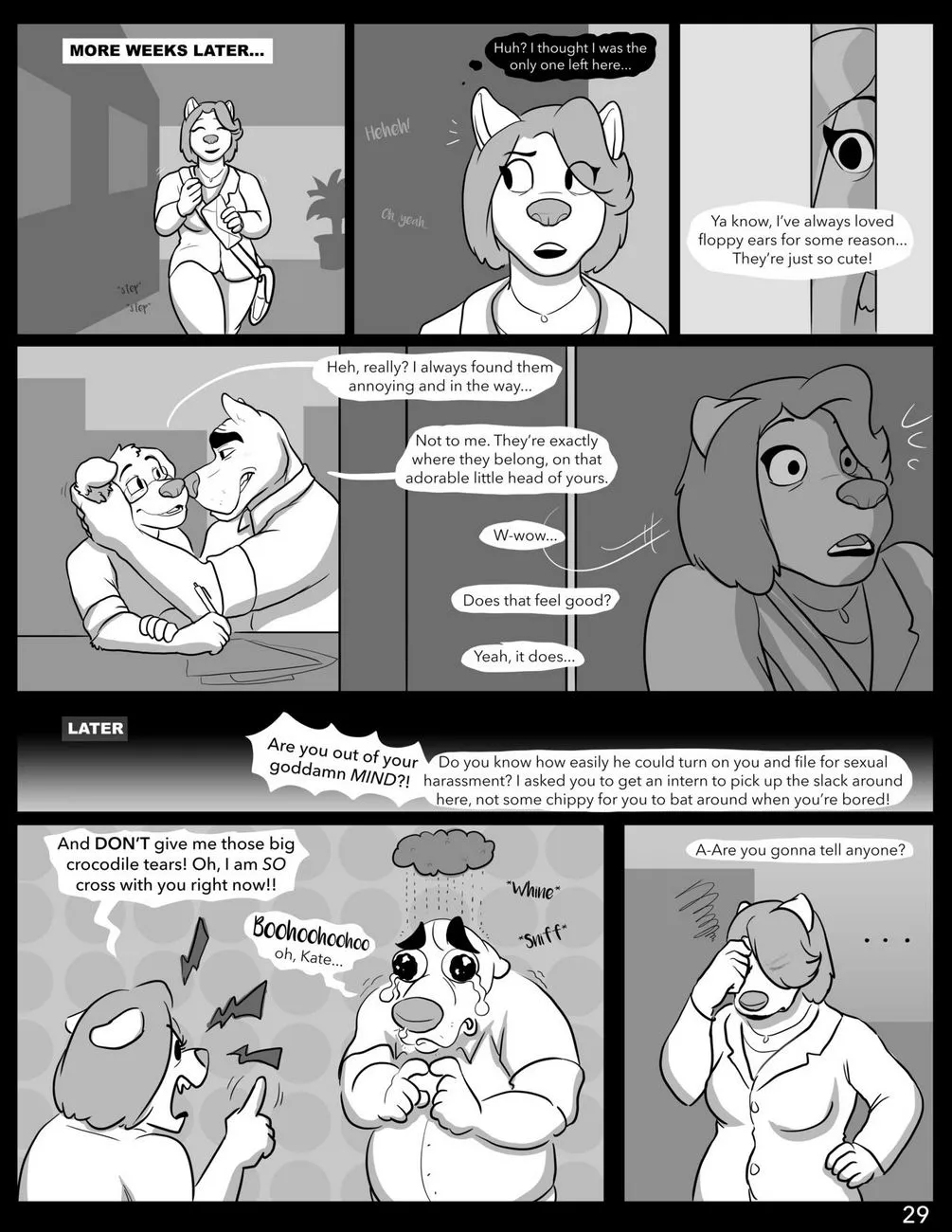 Page 29