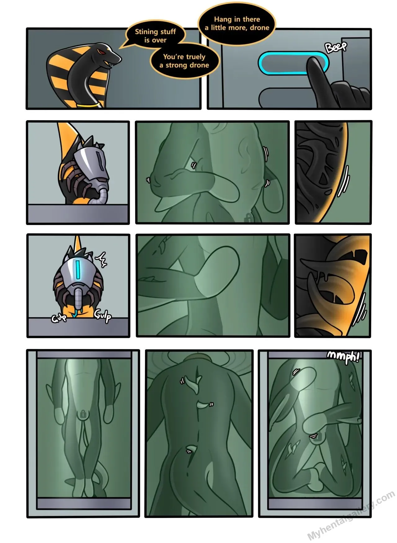 Page 41