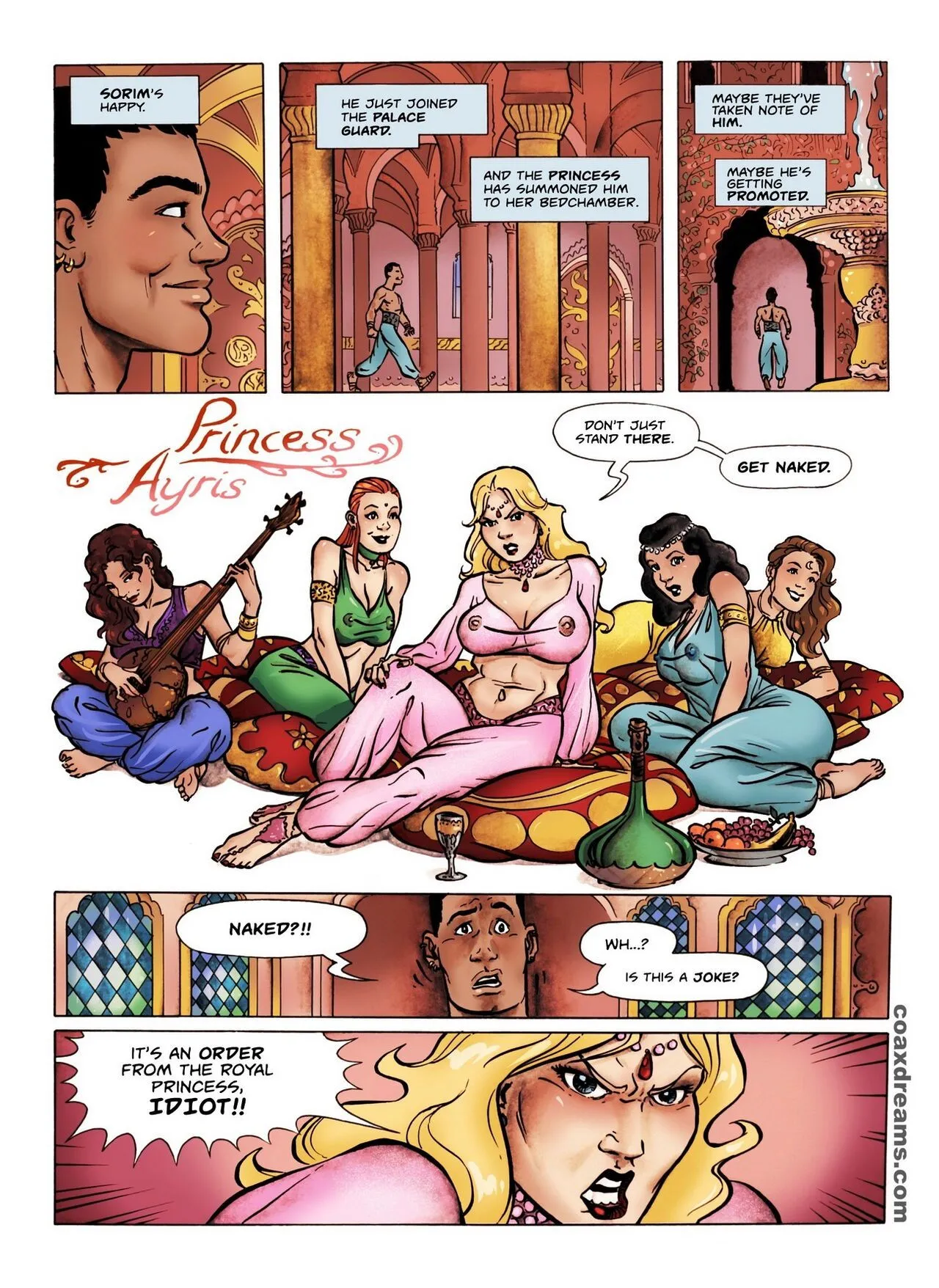 Princess Ayris porno comics Cover