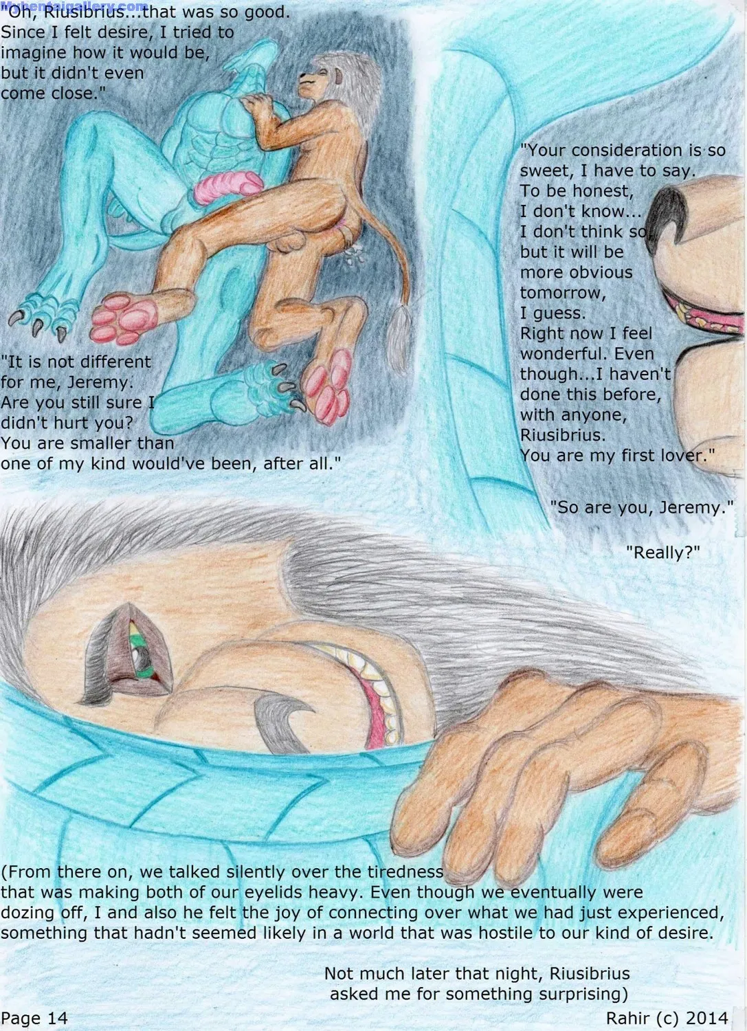 Page 14