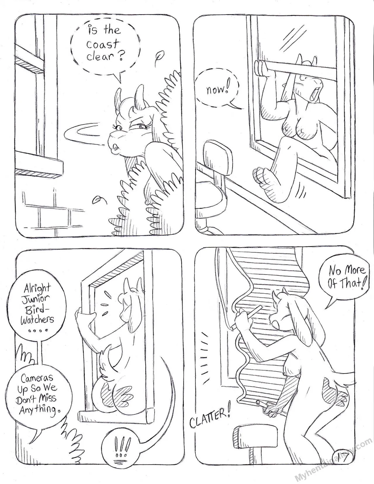 Page 17