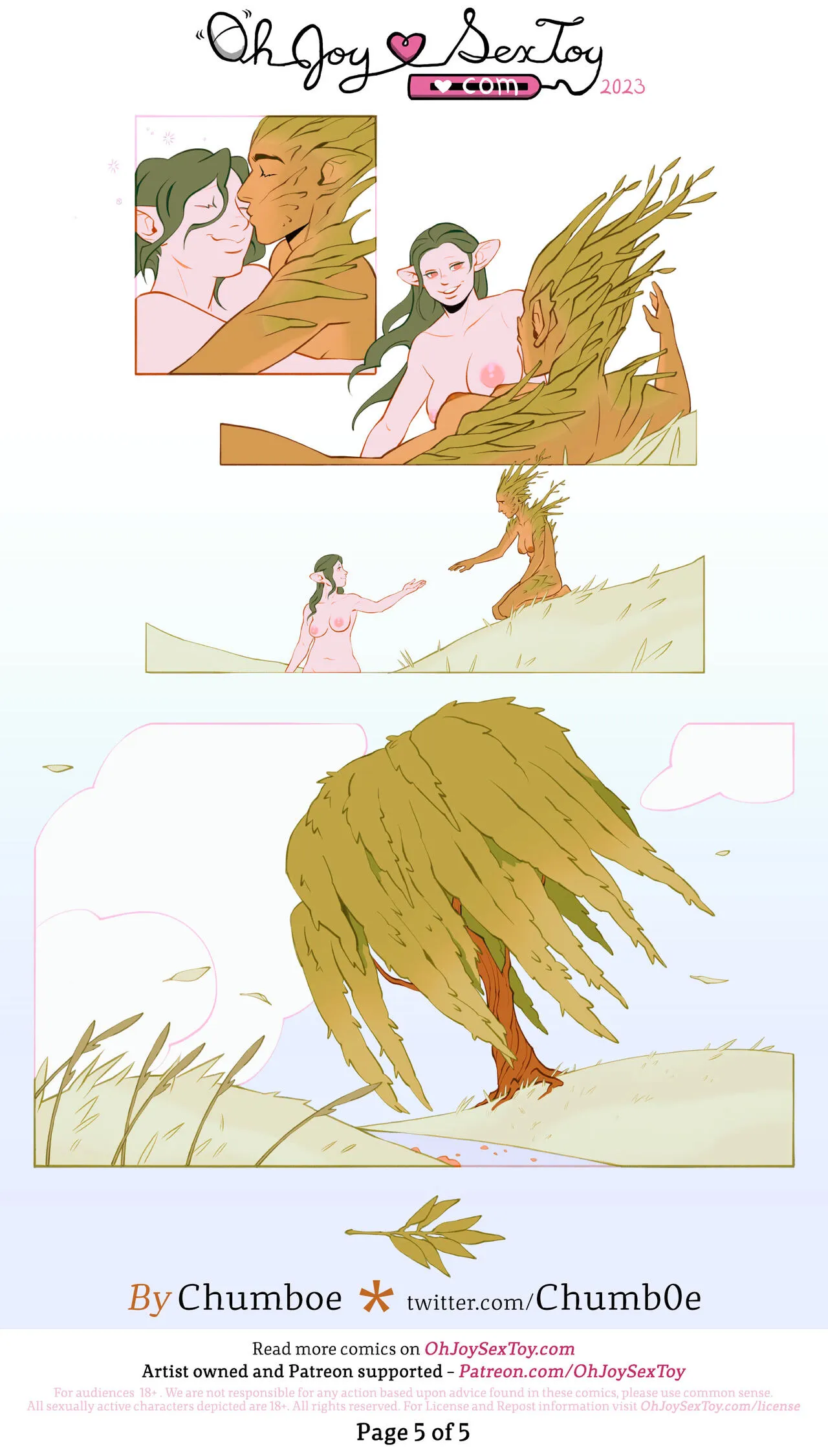 Page 5