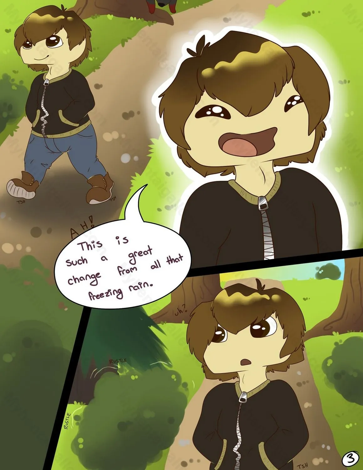 Page 3