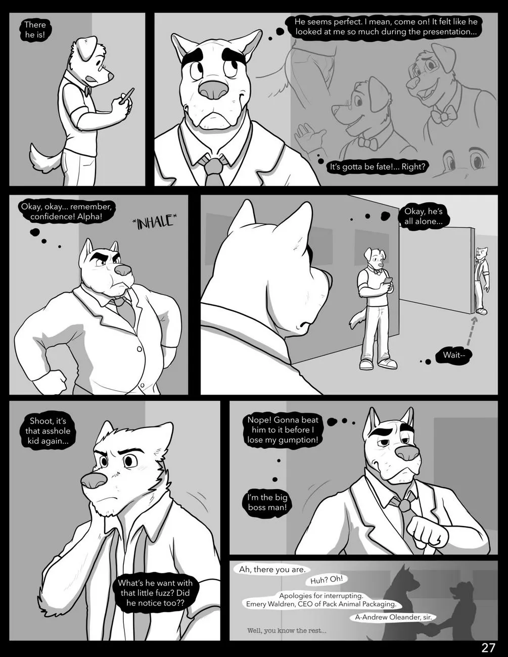 Page 27