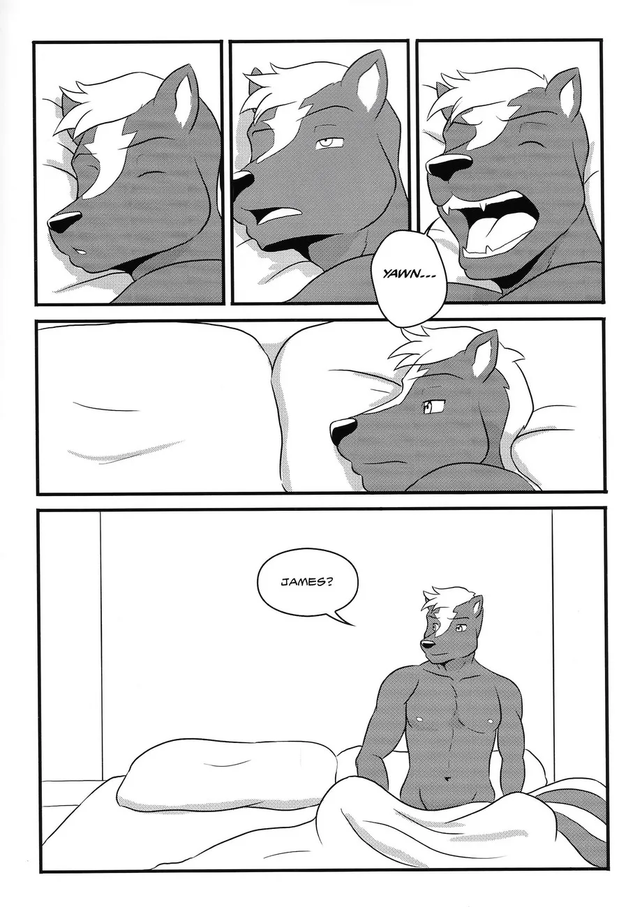 Page 41
