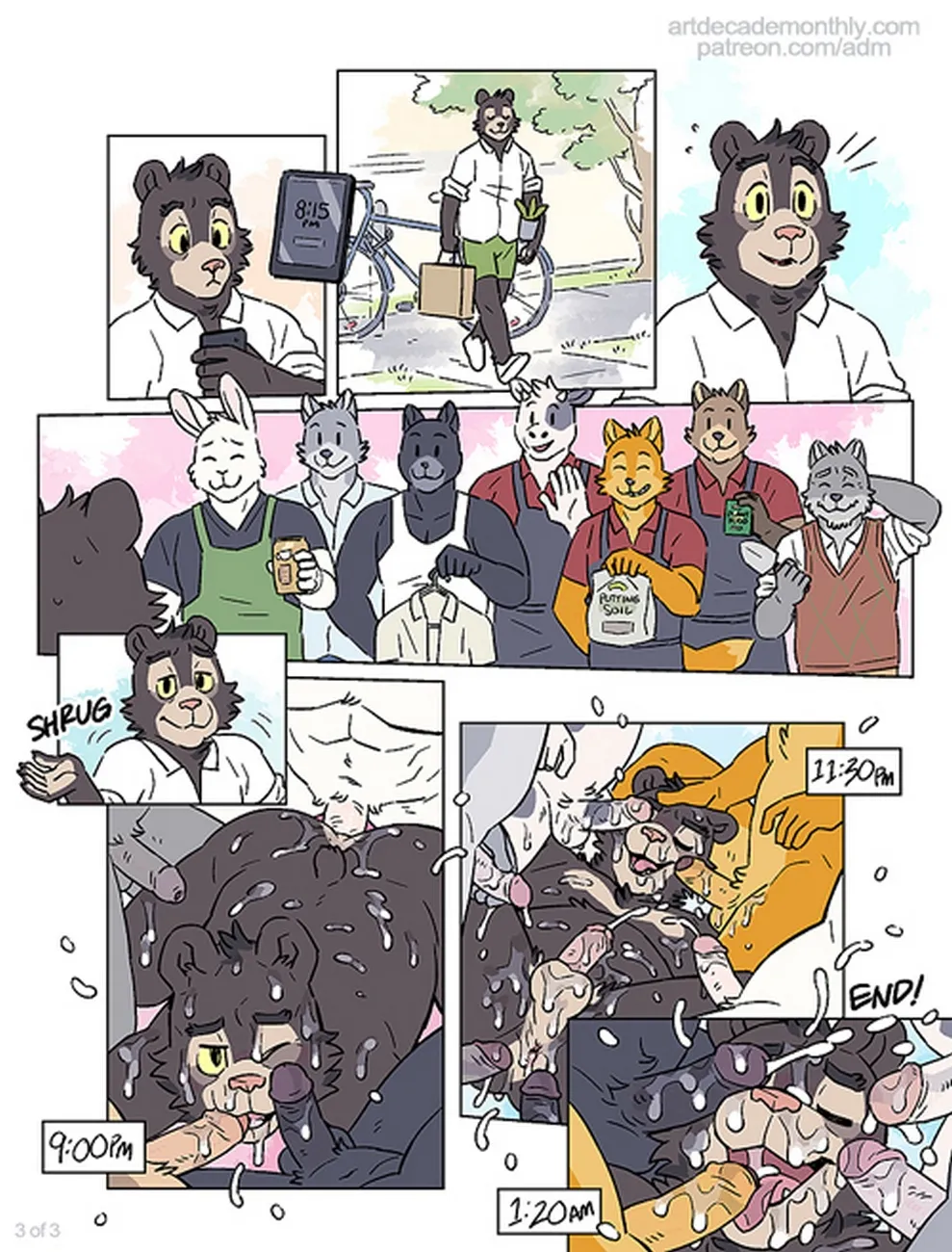 Page 3