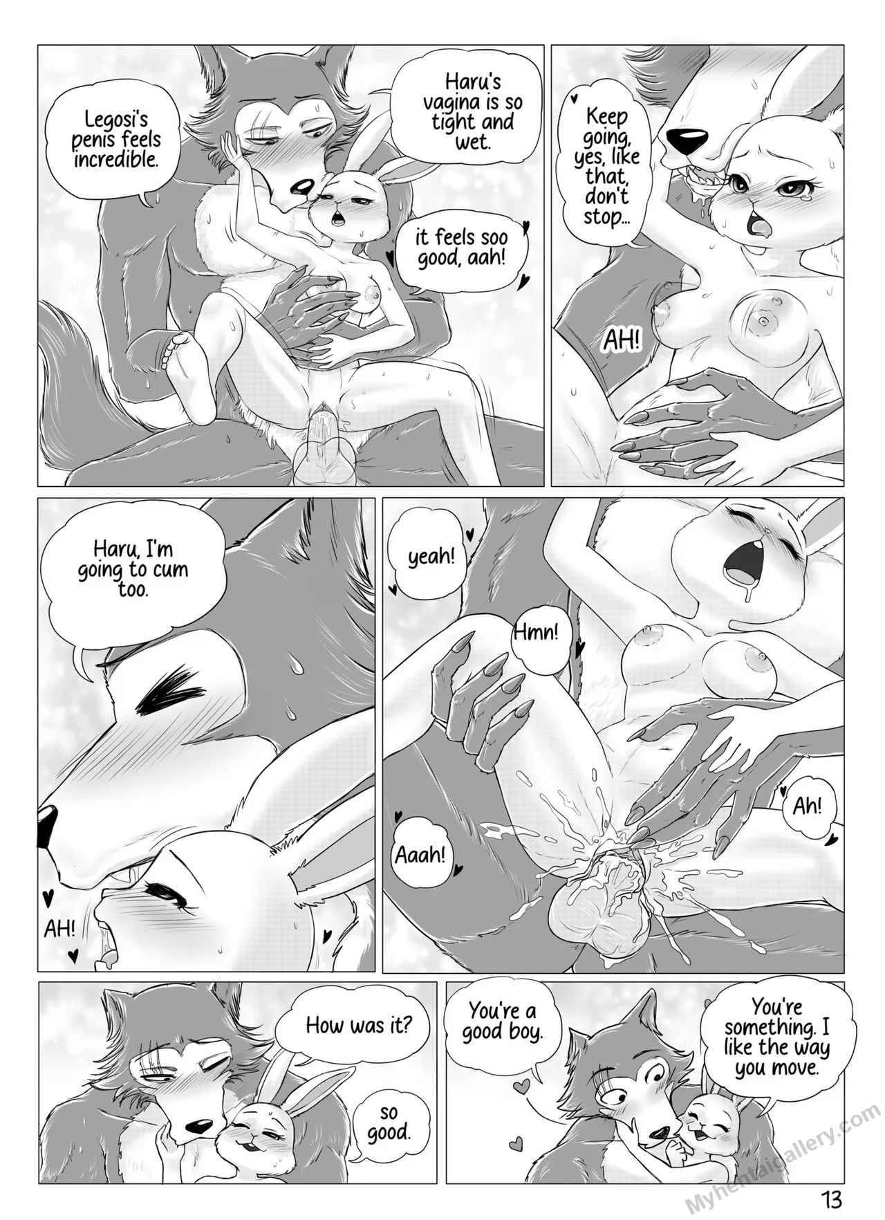 Page 13
